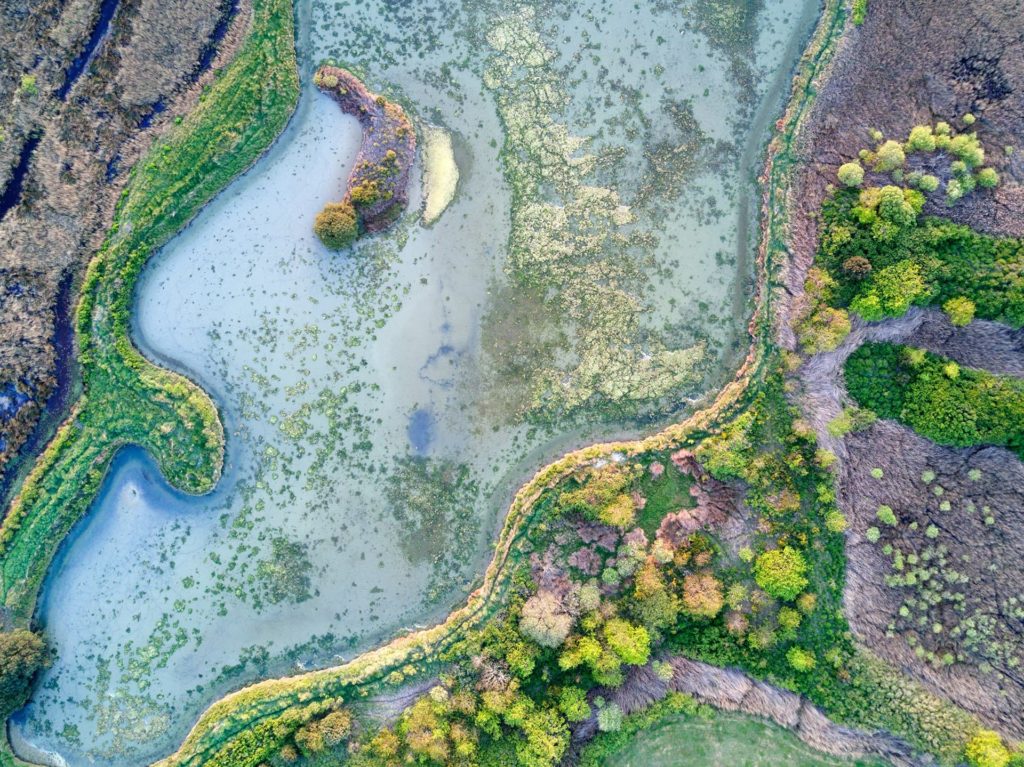 Un paysage, une faune et une flore incroyable à découvrir lors de vos ballade dans les Marais Salant de Guérande